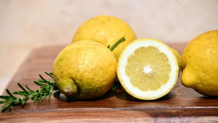 alimenti per la pelle tonica