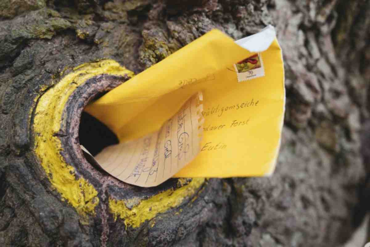Quercia dello sposo in Germania