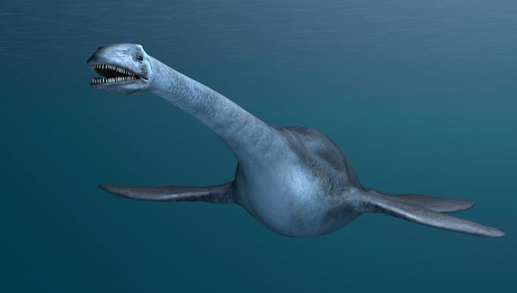 il nuovo gigante dei mari