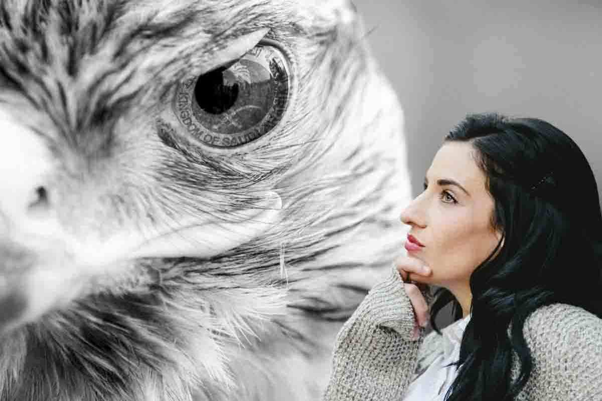 Animali con un solo occhio