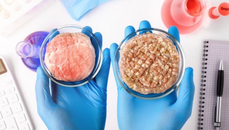 carne sintetica come funziona
