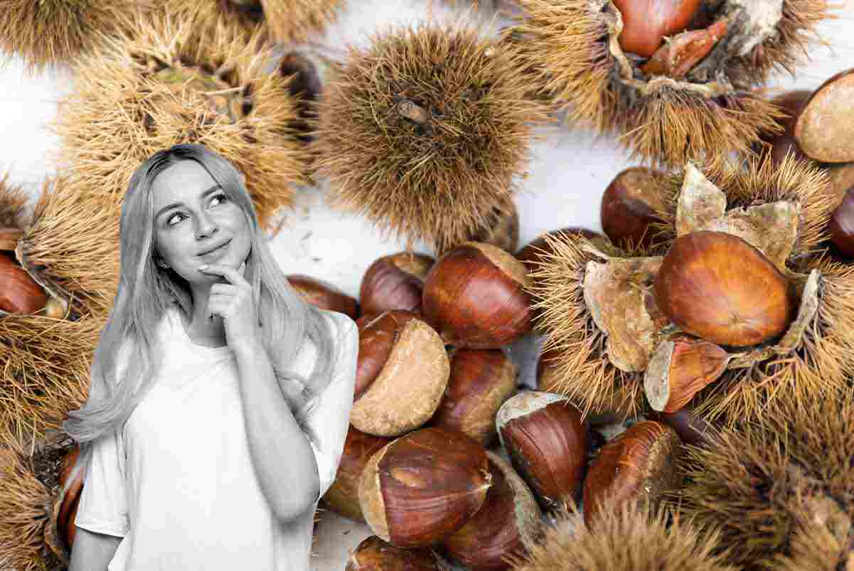 come conservare le castagne