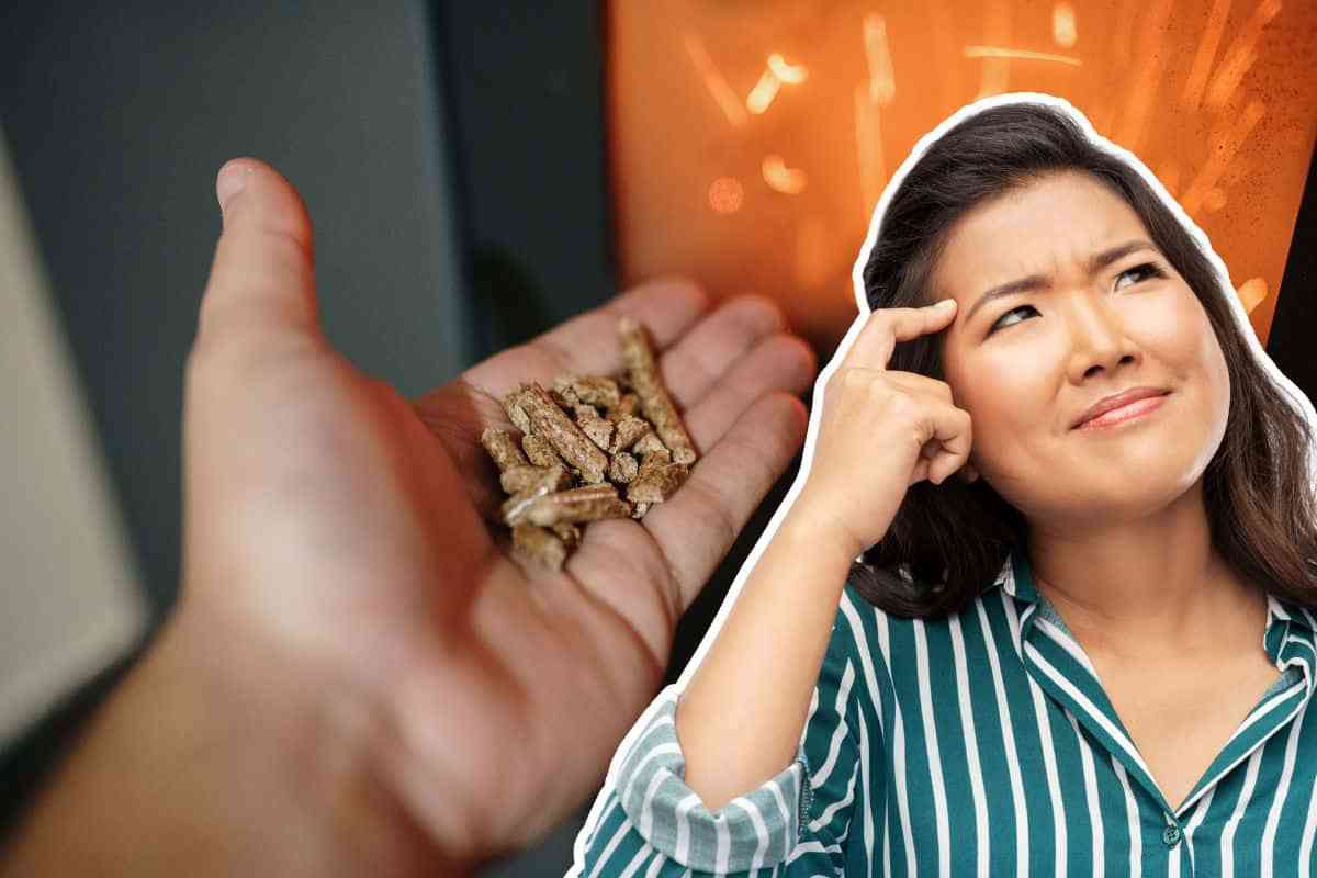 Alternativa alla classica stufa a pellet