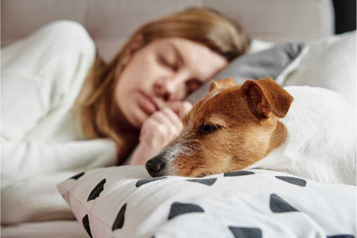 dormire con il cane fa bene