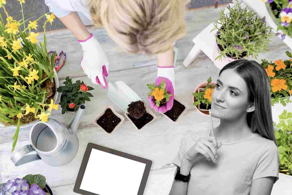 come si cambia il colore dei fiori