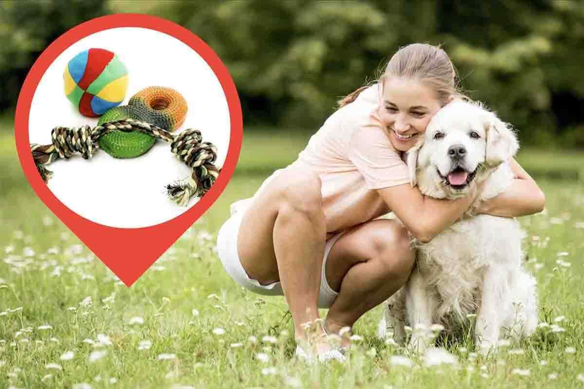 come realizzare un giocattolo per cani