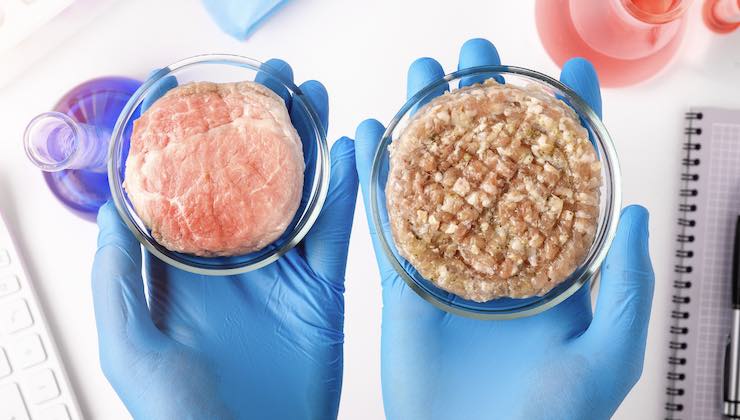gli hamburger vegani come sono