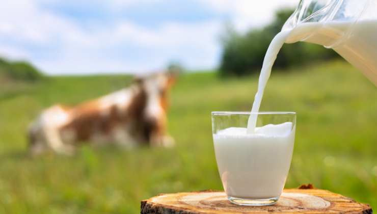 latte migliori prodotti