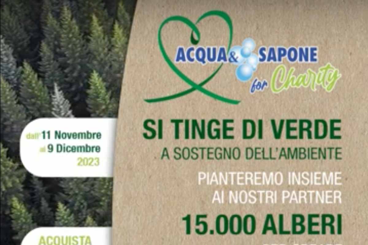 Locandina Acqua e Sapone