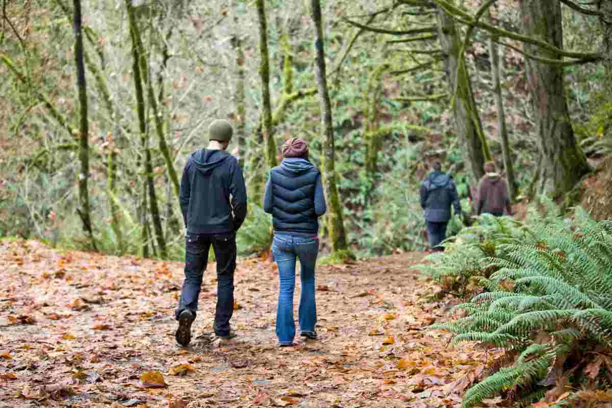 benefici forest therapy