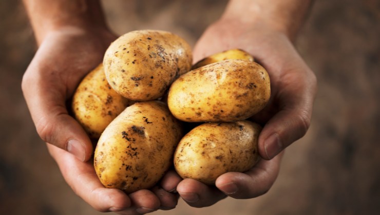 medaglioni di patate ripieni