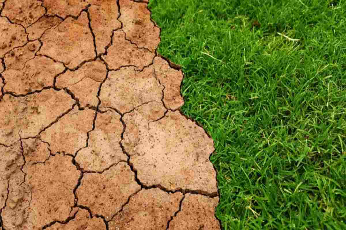 riscaldamento globale situazione