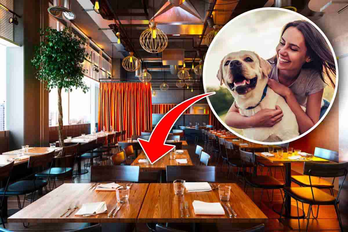 apre il primo ristorante per cani