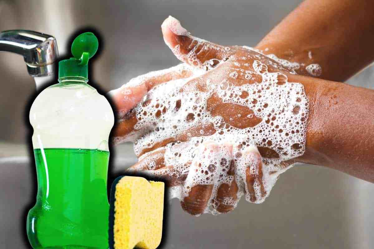 puoi lavarti le mani col sapone dei piatti?