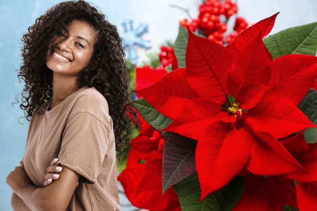 stella di Natale cosa significa nel linguaggio dei fiori