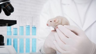 nuova scoperta sui topi da laboratorio