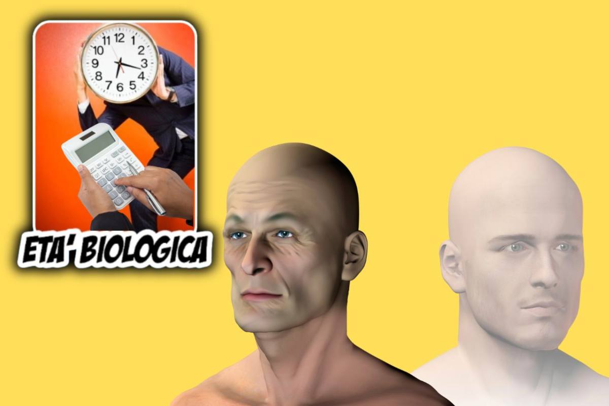 Come si calcola l'età biologica