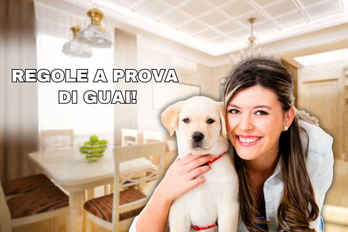 Primi comandi semplici da insegnare al cane