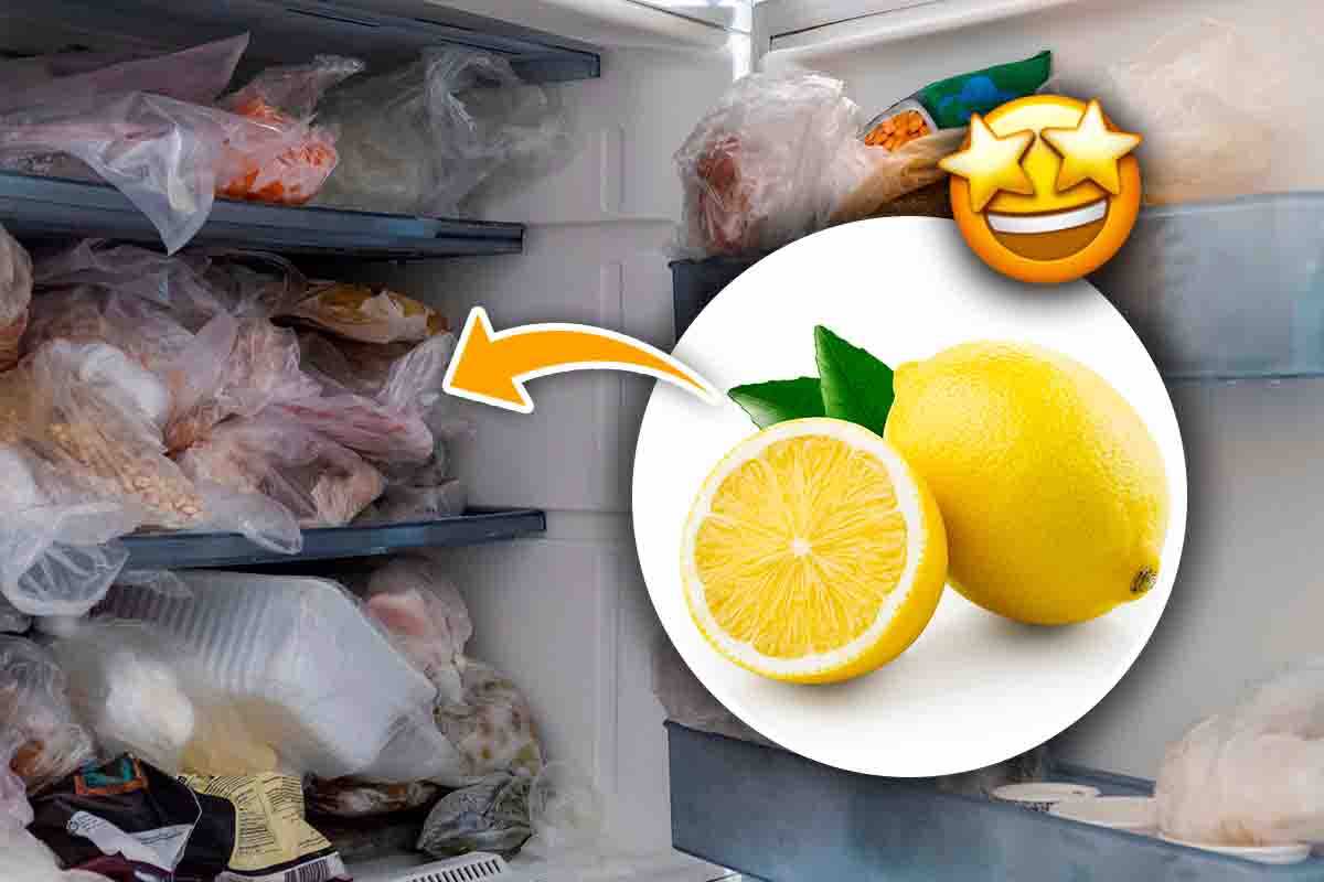 congelare limoni motivo