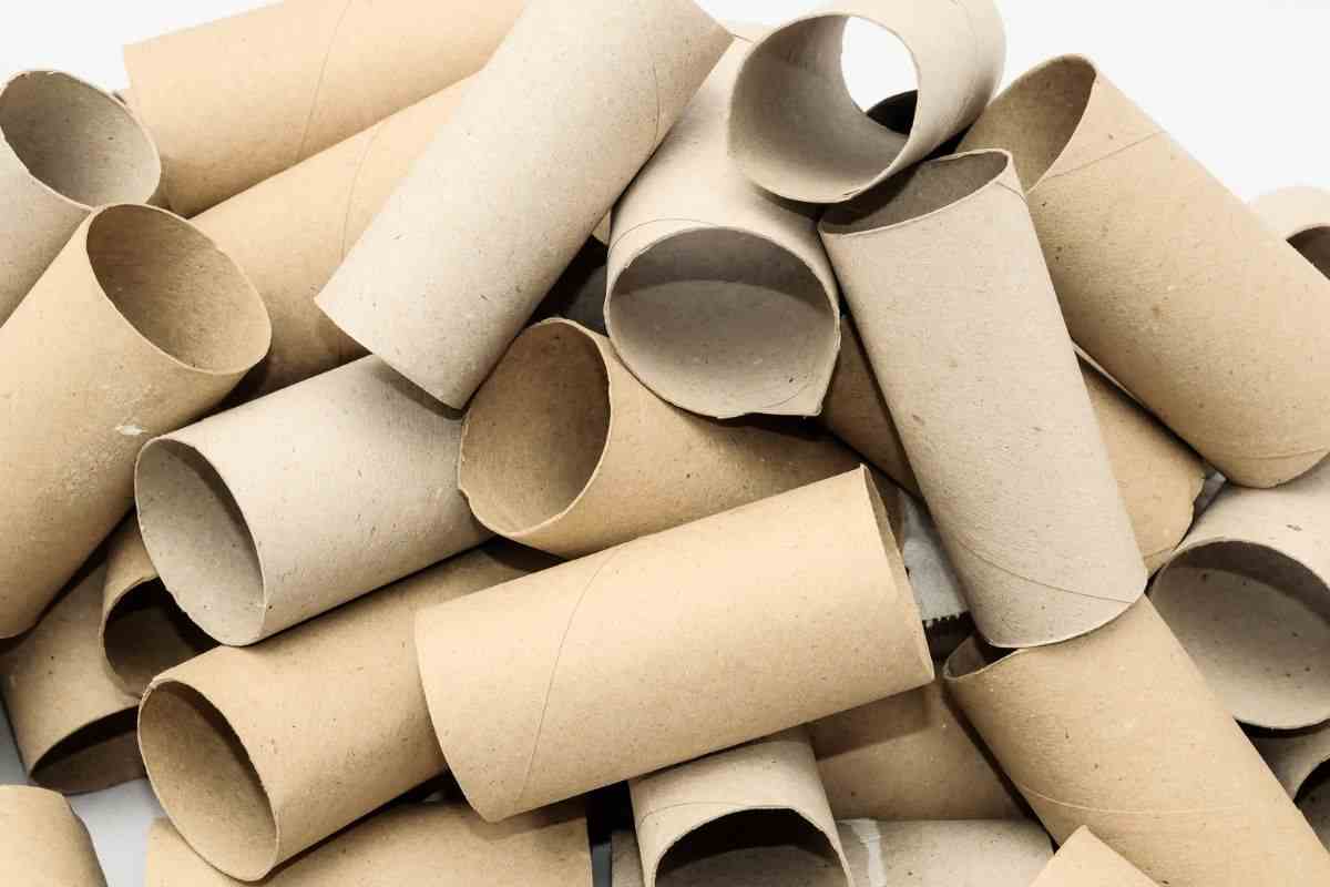 riciclo rotolo di carta igienica