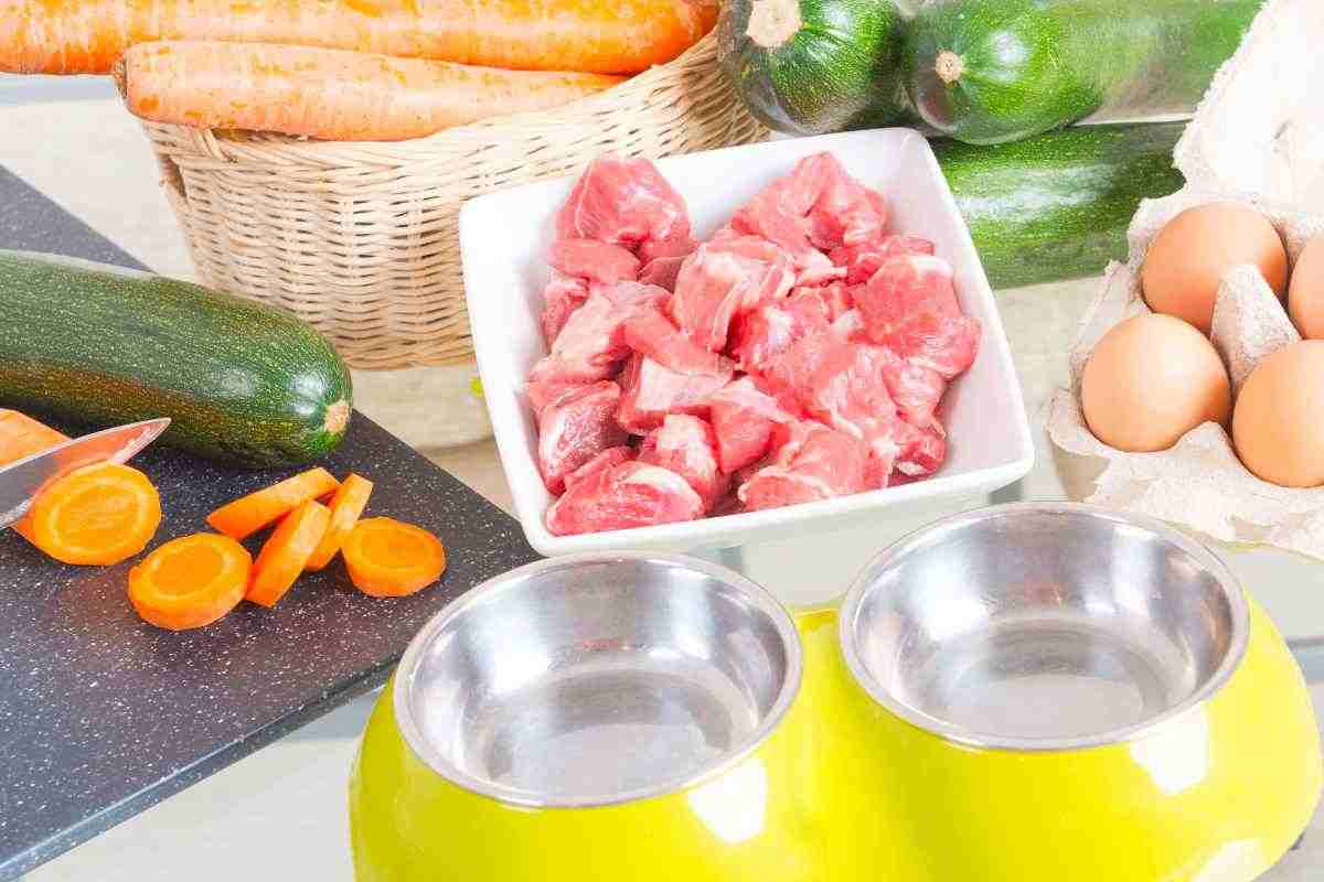 ricette cibo per il cane a casa