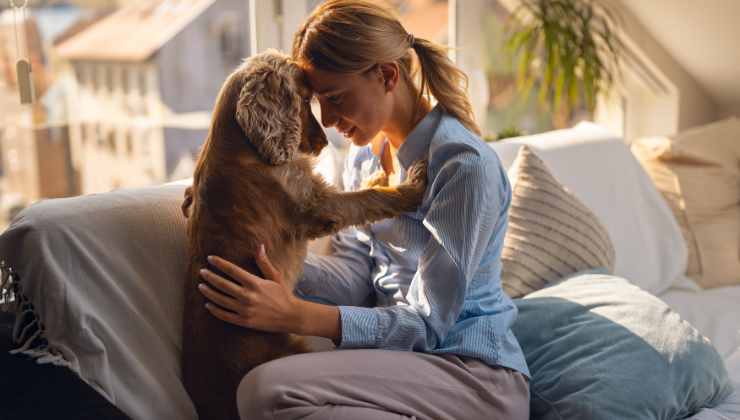 Ci sono cani che sono in grado di "fiutare" le malattie