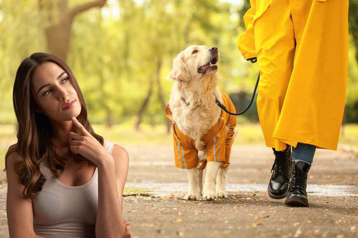 cane a spasso, ogni quanto