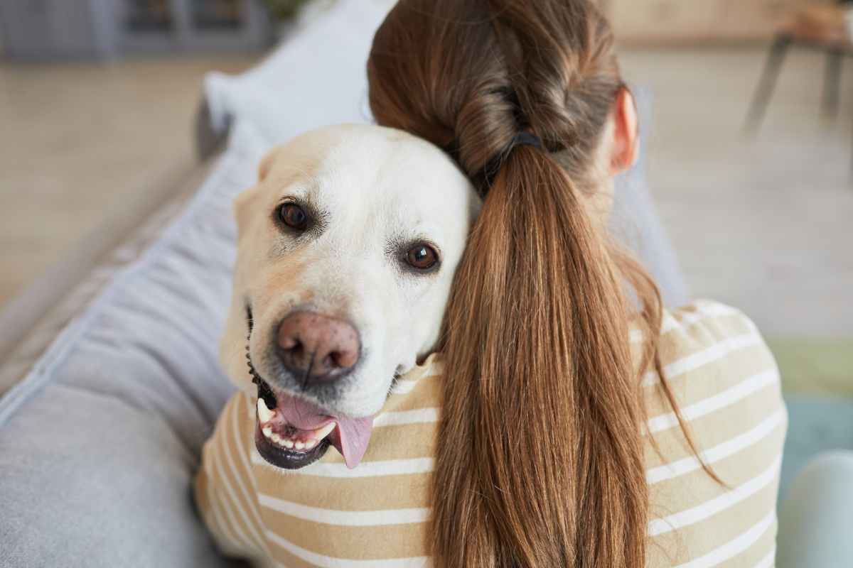Not only are they loyal friends, dogs also understand when you are sick: the study that confirms this thesis