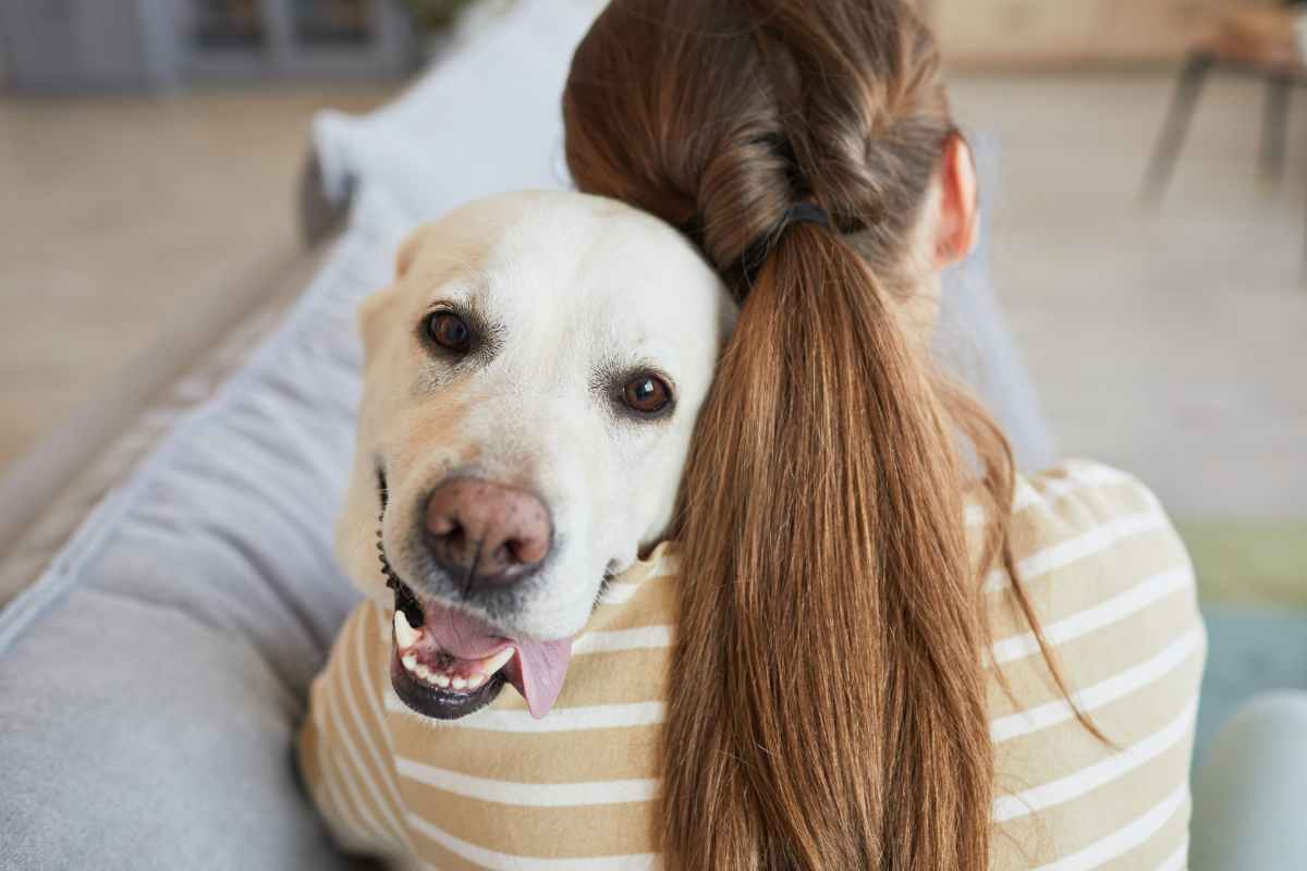 No sólo son amigos leales, los perros también entienden cuando estás enfermo: el estudio que confirma esta tesis