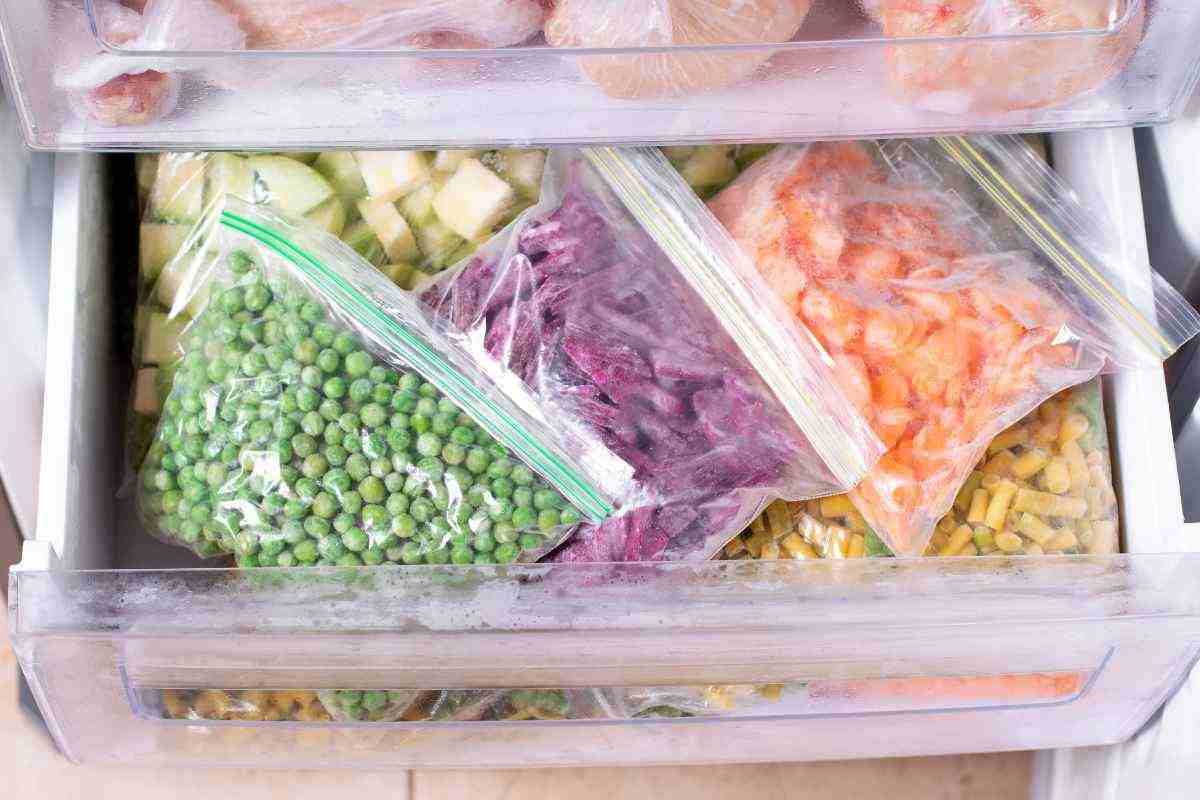 scadenze alimenti in congelatore