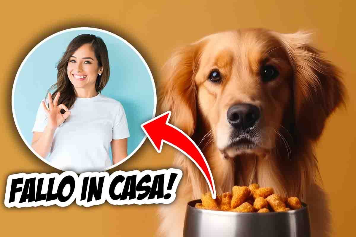 come fare il cibo per il cane a casa