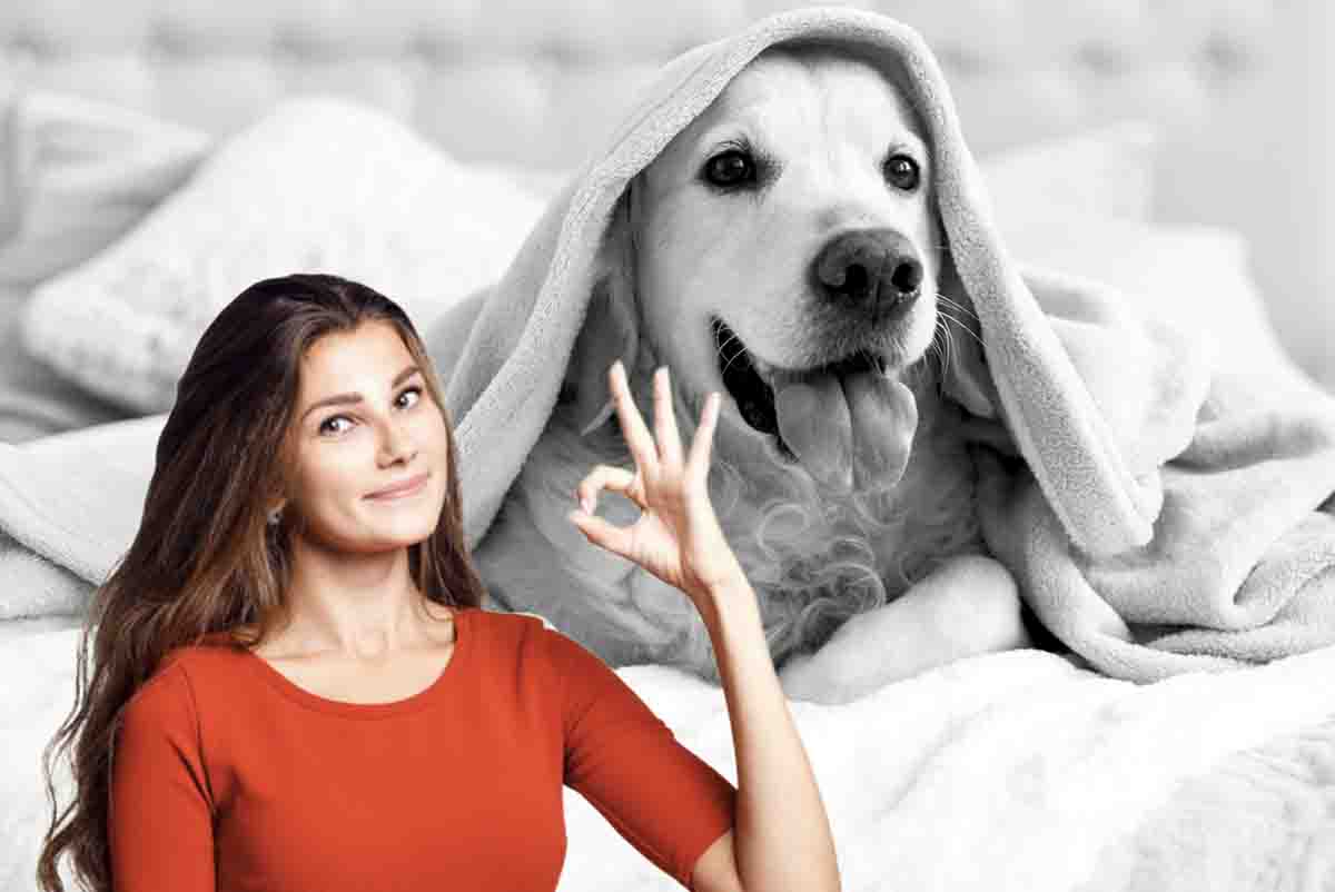 Bonus animali extra fino a 200 euro