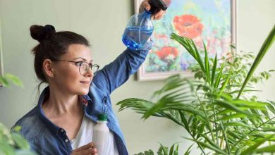 fertilizzante come realizzarlo in casa