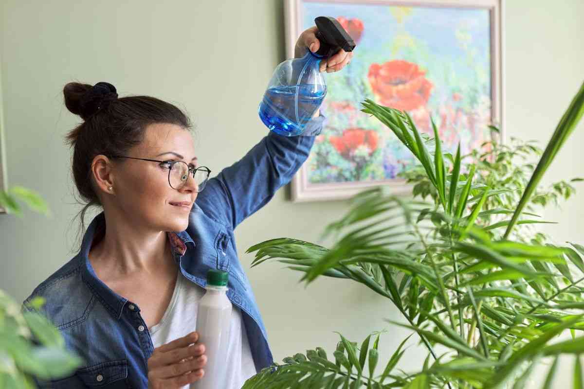 fertilizzante come realizzarlo in casa