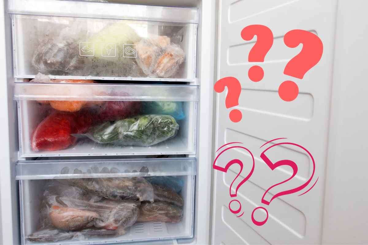 quanto dura il cibo congelato