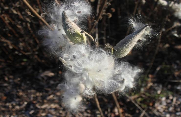 Alta moda ed ecosostenibilità