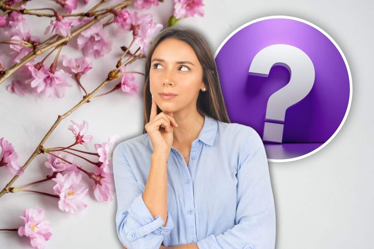 significato fiori