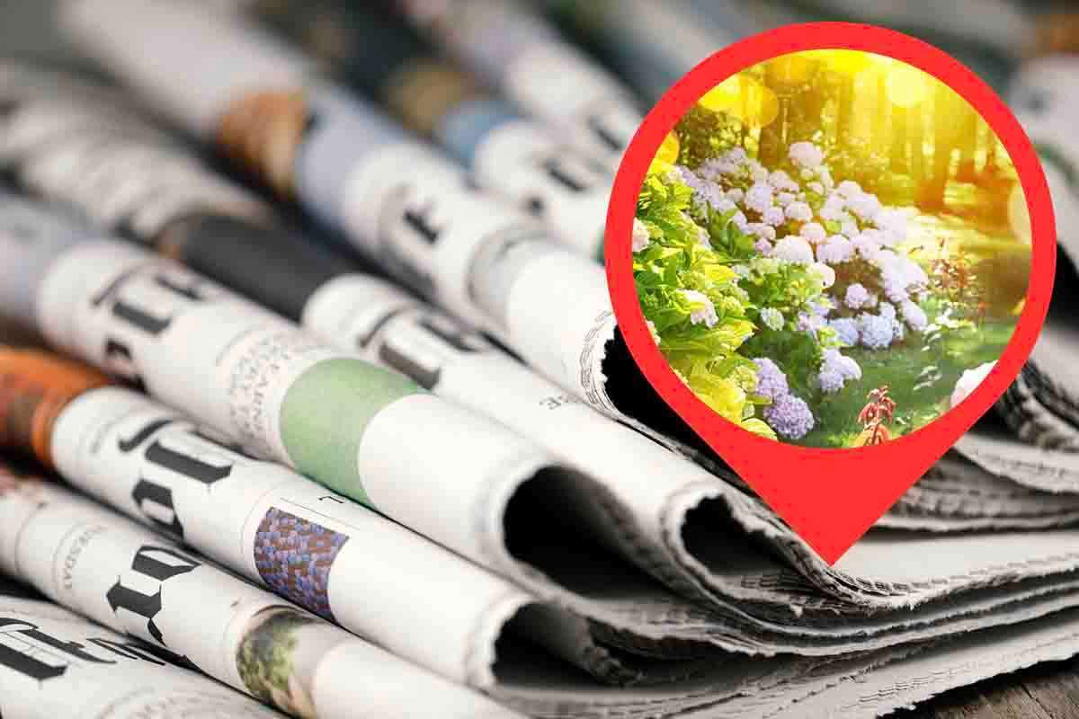 come usare foglio di giornale in giardino