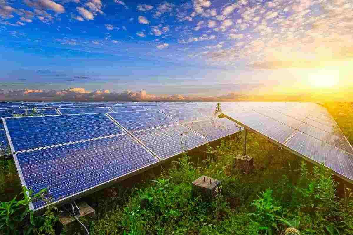 Fotovoltaico organico, novità assoluta