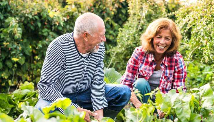 giardino rigoglioso con foglio di giornale
