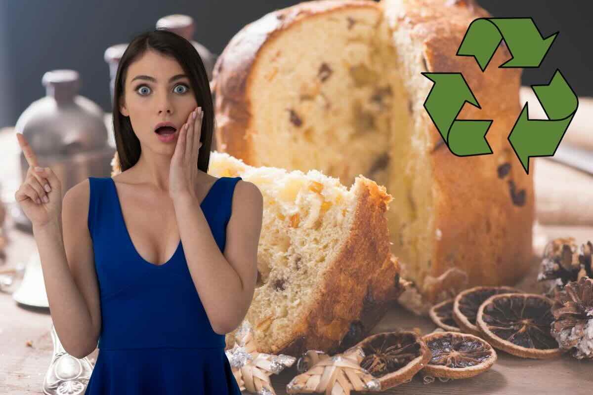 idee per panettone sostenibile