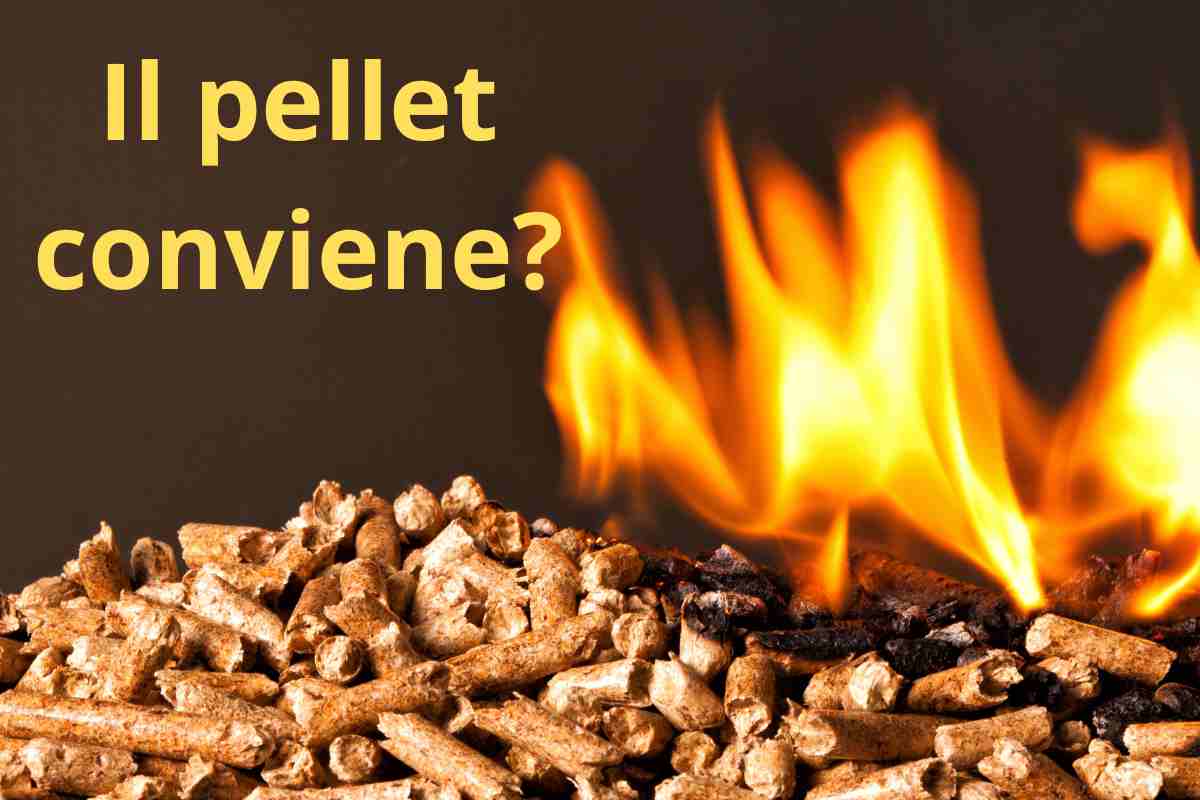 pellet consumi