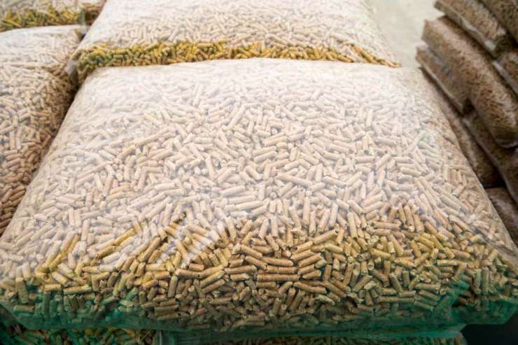 problema pellet cattivi odori rimedi