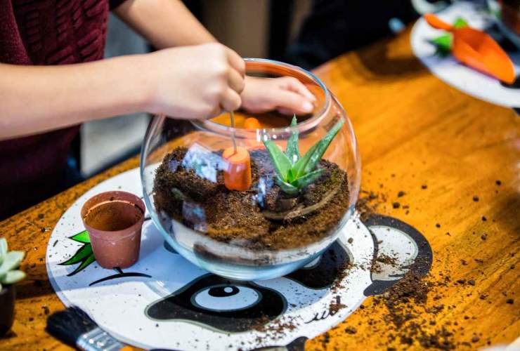 come fare un terrarium