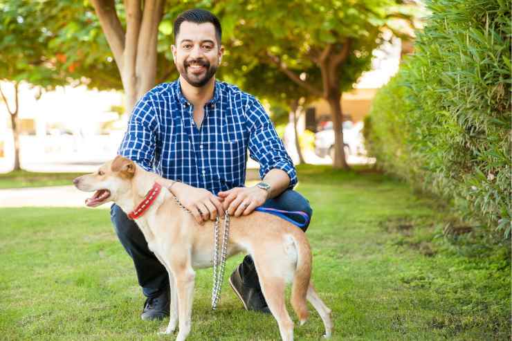 cane a passeggio, ogni quanto tempo
