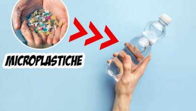 Microplastiche nelle bottiglie d'acqua è allarme