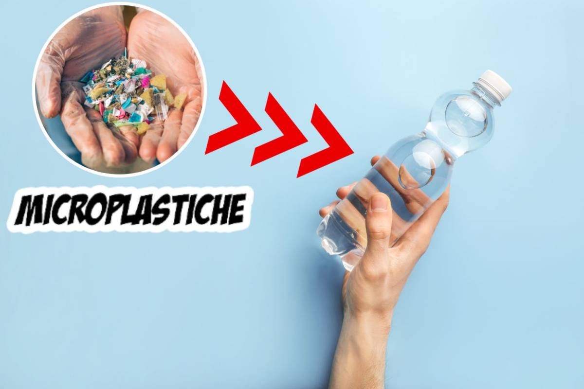 Microplastiche nelle bottiglie d'acqua è allarme