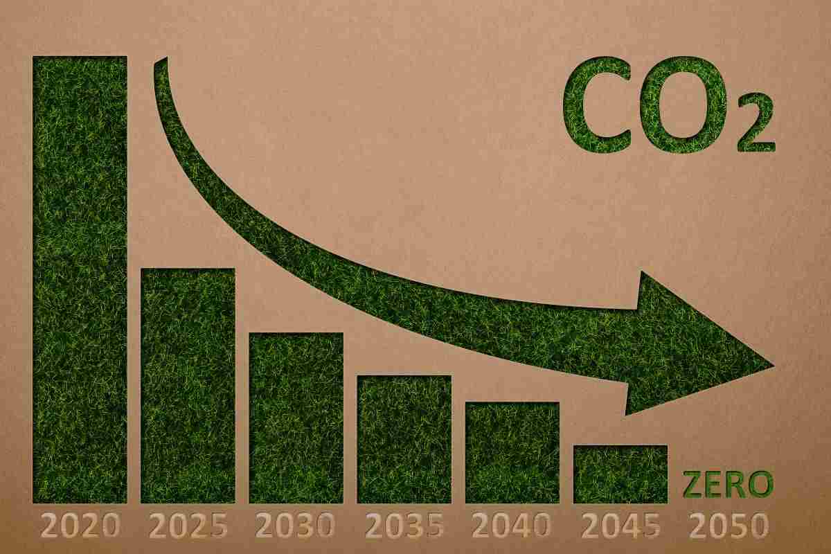 Cómo reducir las emisiones de CO2 en la mesa: Tu salud y el medio ambiente te lo agradecerán