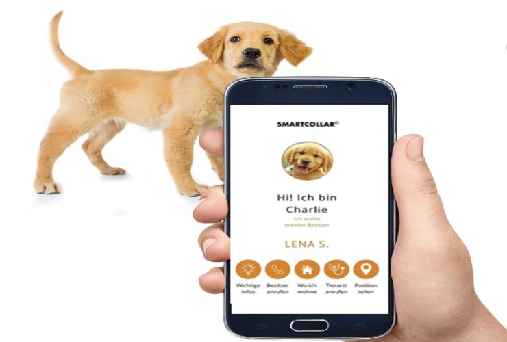 nuovo collare smart salute cane