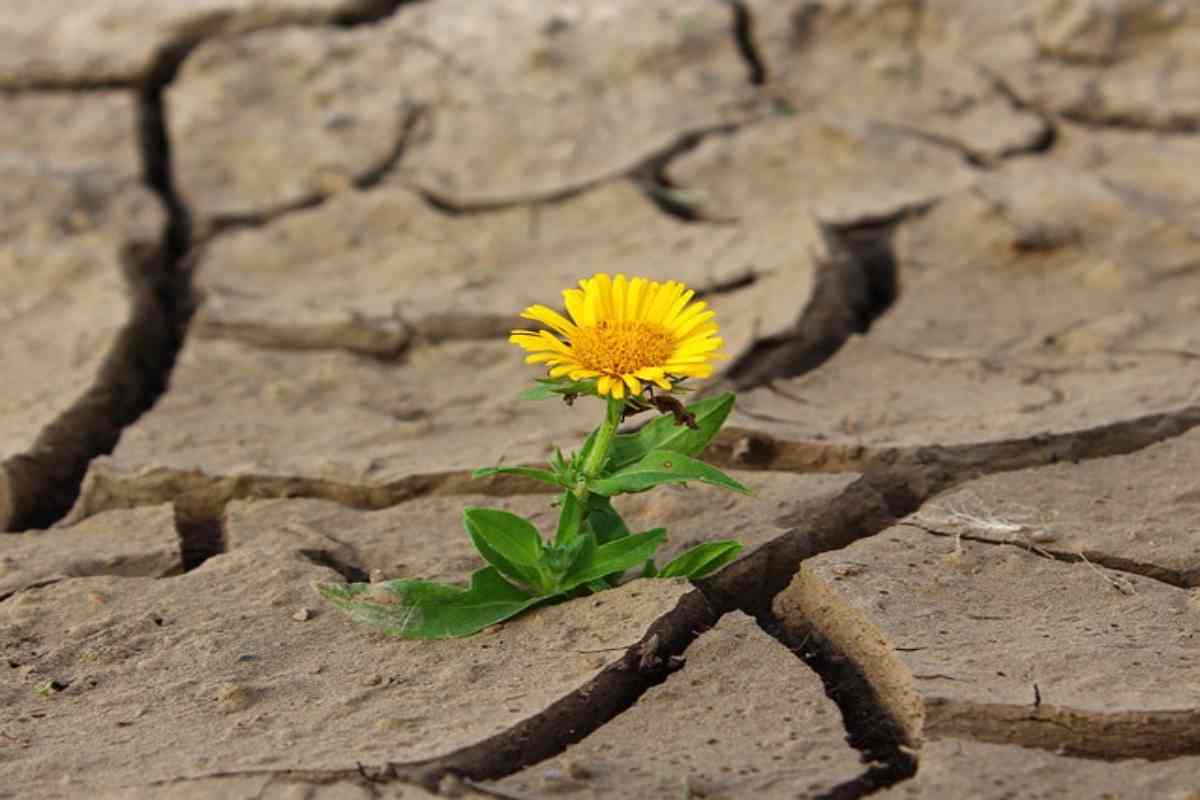 scoperta allarmante cambiamento climatico